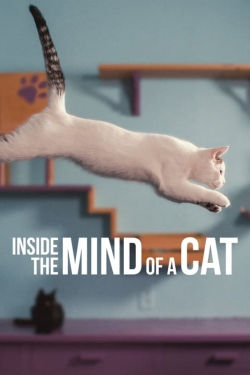 Watch Free Inside the Mind of a Cat Movies HD Online Soap2Day