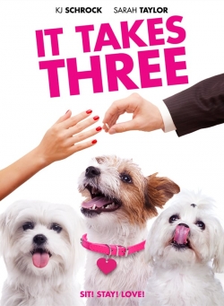 Watch Free It Takes Three Movies HD Online Soap2Day