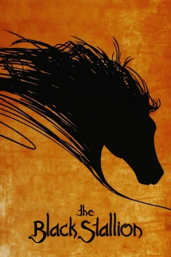 Watch Free The Black Stallion Movies HD Online Soap2Day