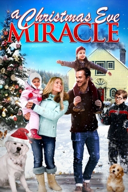 Watch Free A Christmas Eve Miracle Movies HD Online Soap2Day