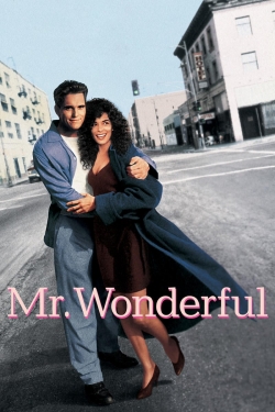 Watch Free Mr. Wonderful Movies HD Online Soap2Day