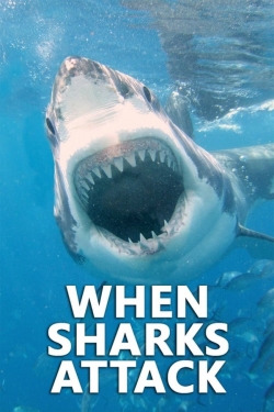 Watch Free When Sharks Attack Movies HD Online Soap2Day