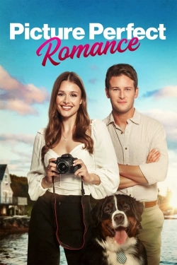 Watch Free Picture Perfect Romance Movies HD Online Soap2Day