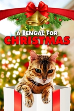 Watch Free A Bengal for Christmas Movies HD Online Soap2Day