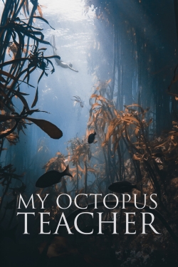 Watch Free My Octopus Teacher Movies HD Online Soap2Day