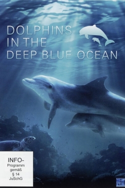 Watch Free Dolphins in the Deep Blue Ocean Movies HD Online Soap2Day