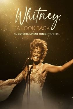 Watch Free Whitney, a Look Back Movies HD Online Soap2Day