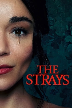 Watch Free The Strays Movies HD Online Soap2Day