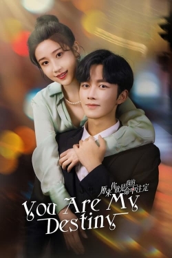 Watch Free You Are My Destiny Movies HD Online Soap2Day