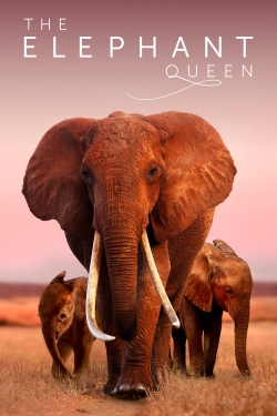 Watch Free The Elephant Queen Movies HD Online Soap2Day